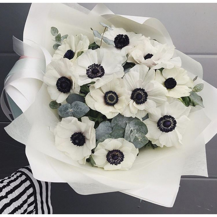 Анемоны в Шардаре