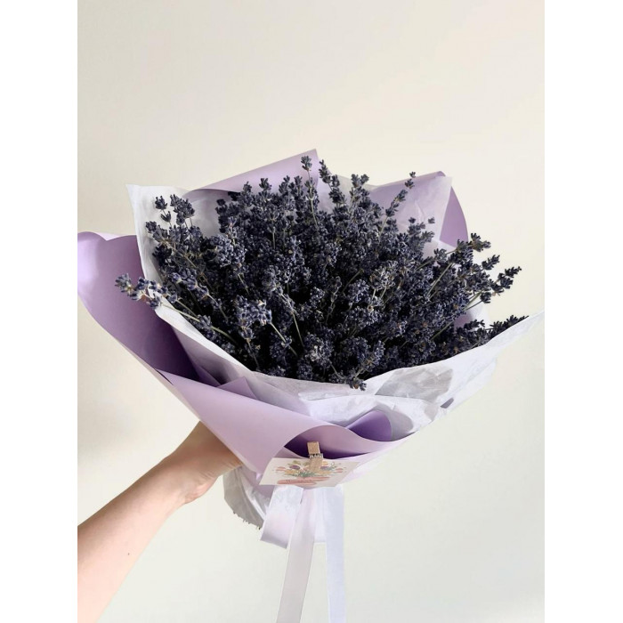 Лаванда в Шардаре