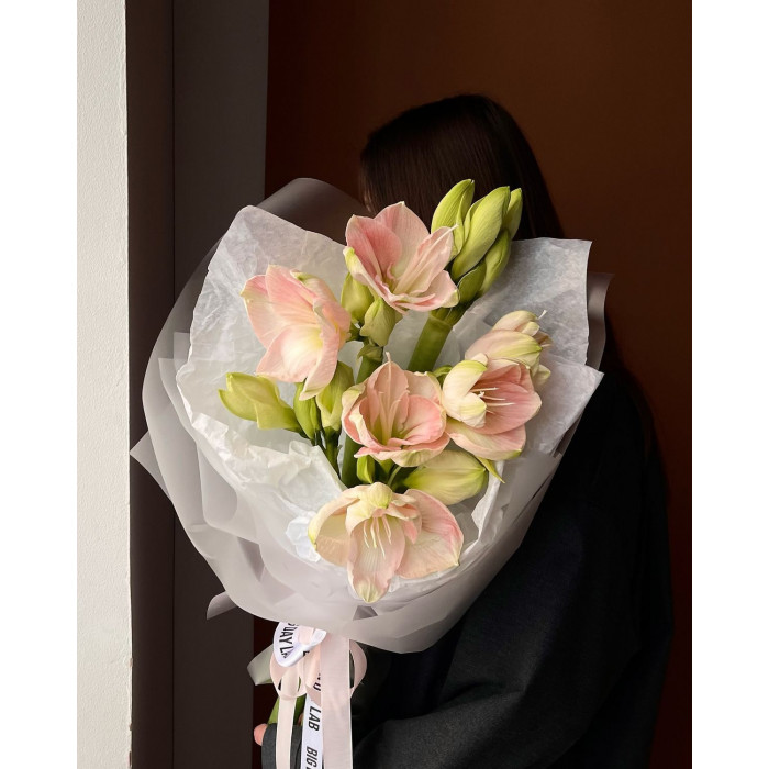 Амариллис в Шардаре