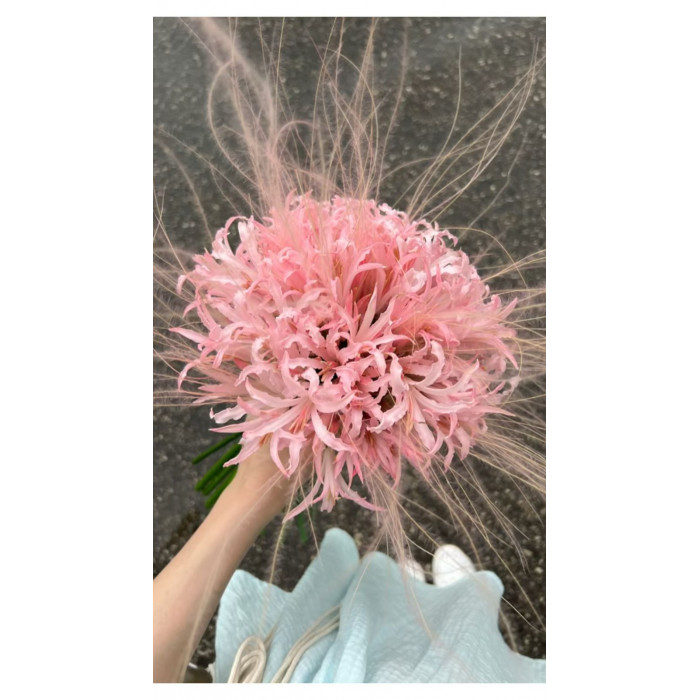 Нерине в Шардаре