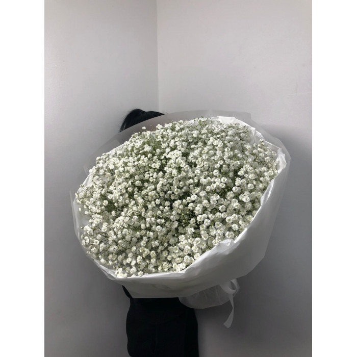 Гипсофила классическая в Шардаре