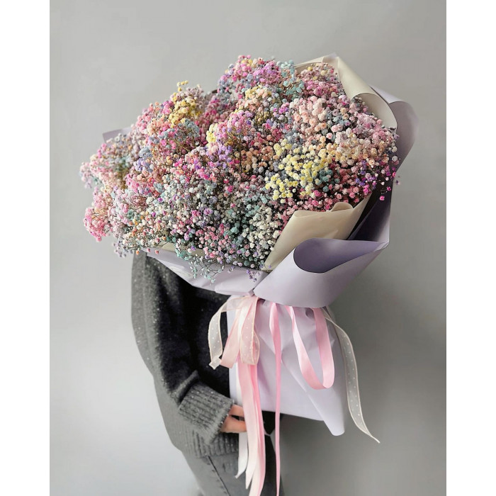 Гипсофила цветная в Шардаре