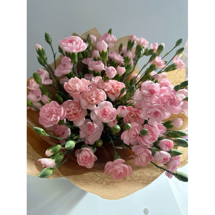 Кустовые гвоздики в Шардаре