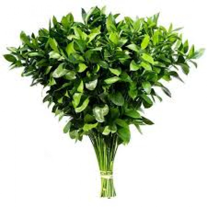 Рускус в Шардаре