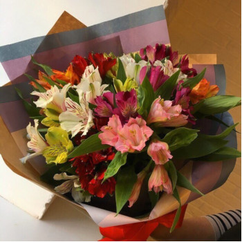 Carpe diem Carpe diem