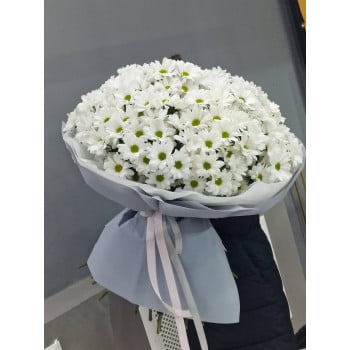 25 хризантем 25 хризантем