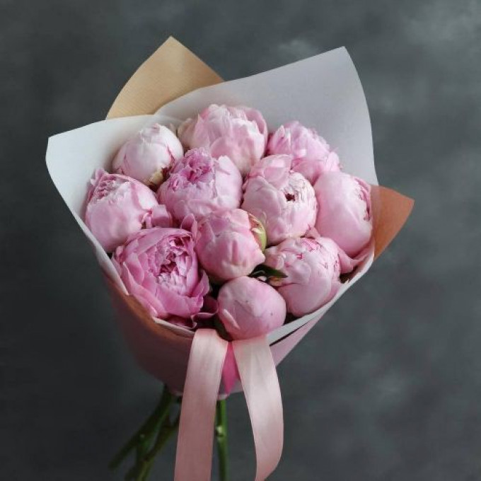 11 пион 11 пион