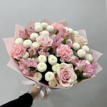 Mach Collection 6 Mach Collection 6