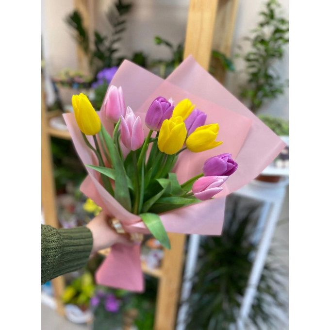 11 тюльпанов